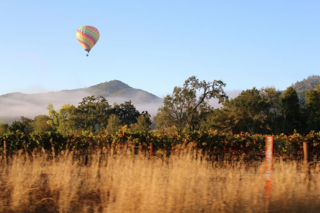 Napa Valley Wine Tour Information