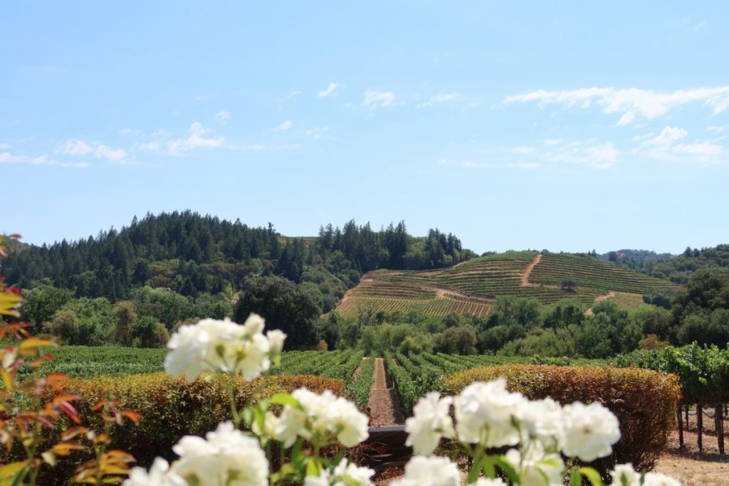 Napa Valley Wine Tour Information